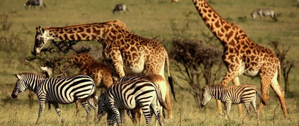 Mahali Mzuri Hotel Maasai Mara Exterior photo